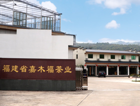 公司简介
